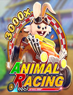 mafia 488 เข้า สู่ ระบบโปร โม ชั่ น big c ที่คุณต้องลอง